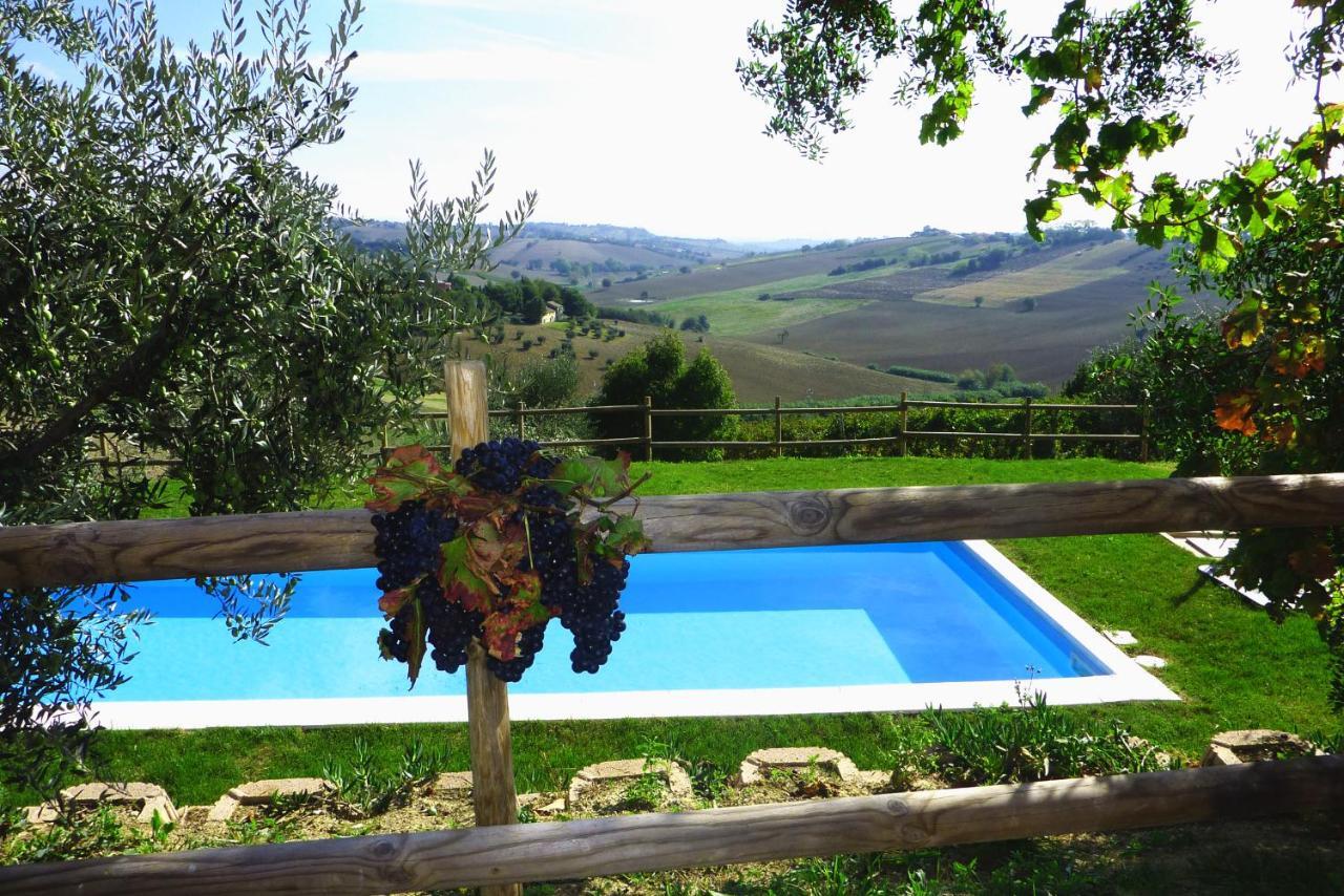 Villa Sant'Elena Morro d'Alba Exterior photo